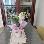Alojamento de Acomodação e Pequeno-almoço S'agapò 3*